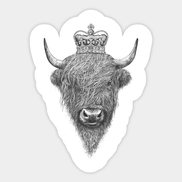 The King Highland Bull Sticker by kodamorkovkart